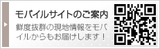 モバイルサイトのご案内　鮮度抜群の現地情報をモバイルからもお届けします！ードはこちら