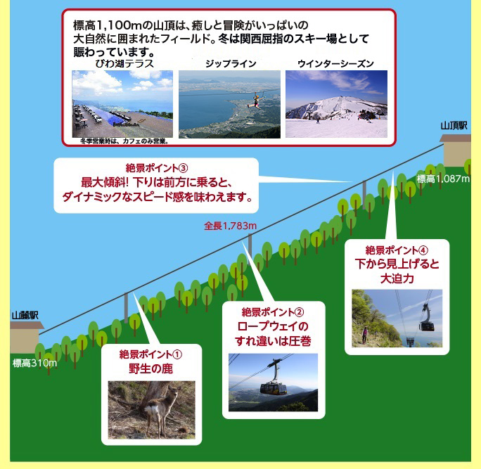 ロープウェイからの見どころ