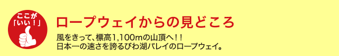 ロープウェイからの見どころ