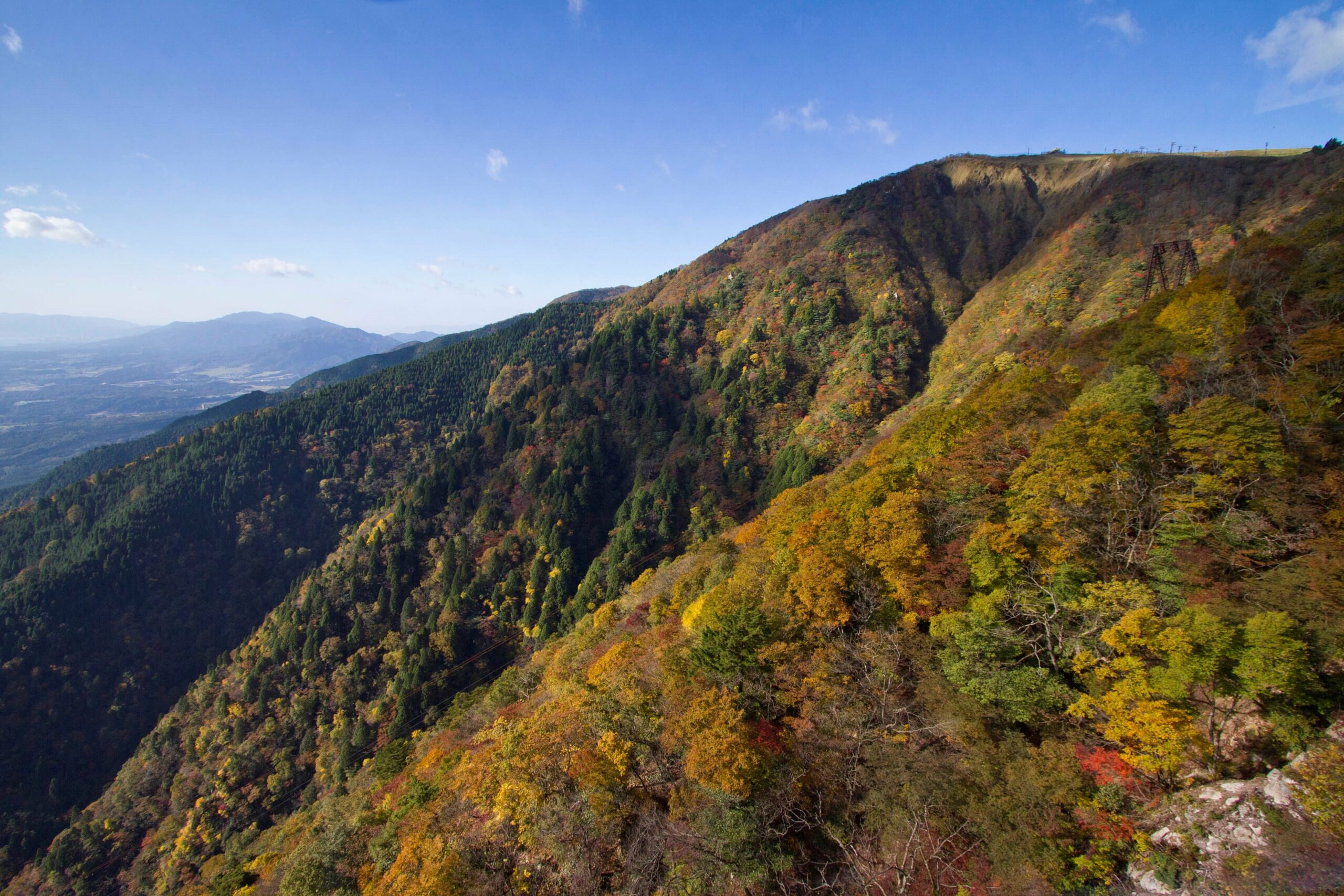 紅葉 現在の紅葉状況 びわ湖バレイ スキー場 びわ湖テラス 紅葉 現在の紅葉状況 びわ湖バレイ スキー場 びわ湖テラス