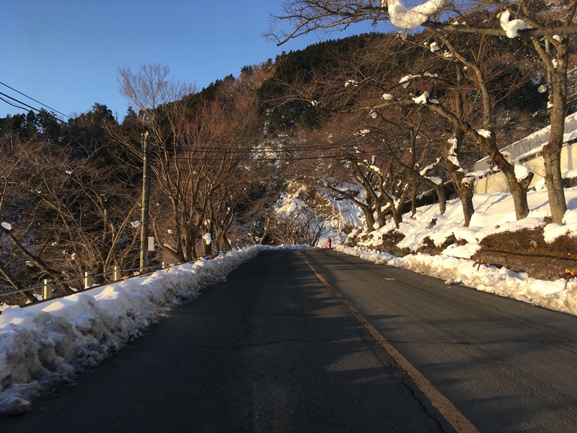 Ncr Author At びわ湖バレイ スキー場 びわ湖テラス