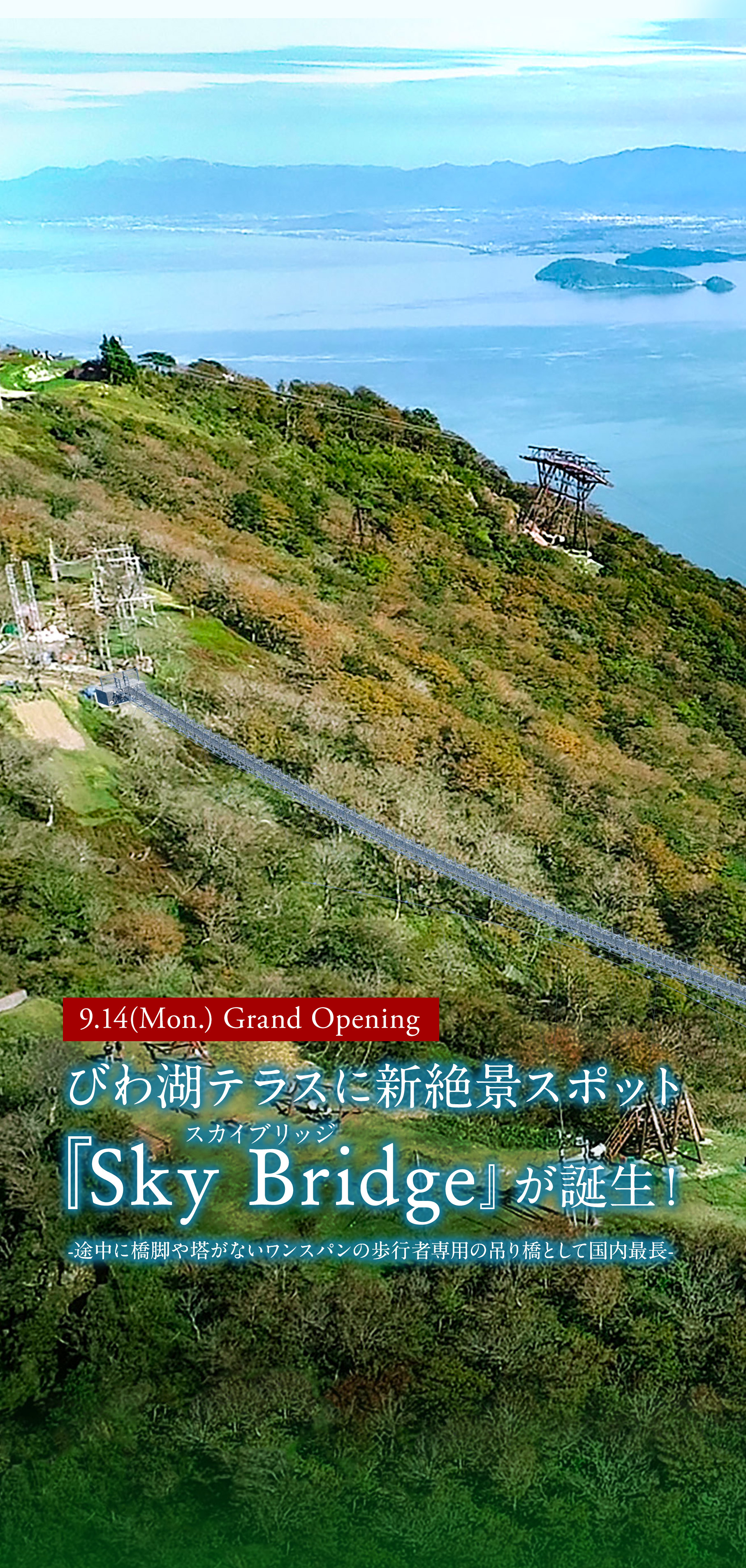 スカイブリッジ