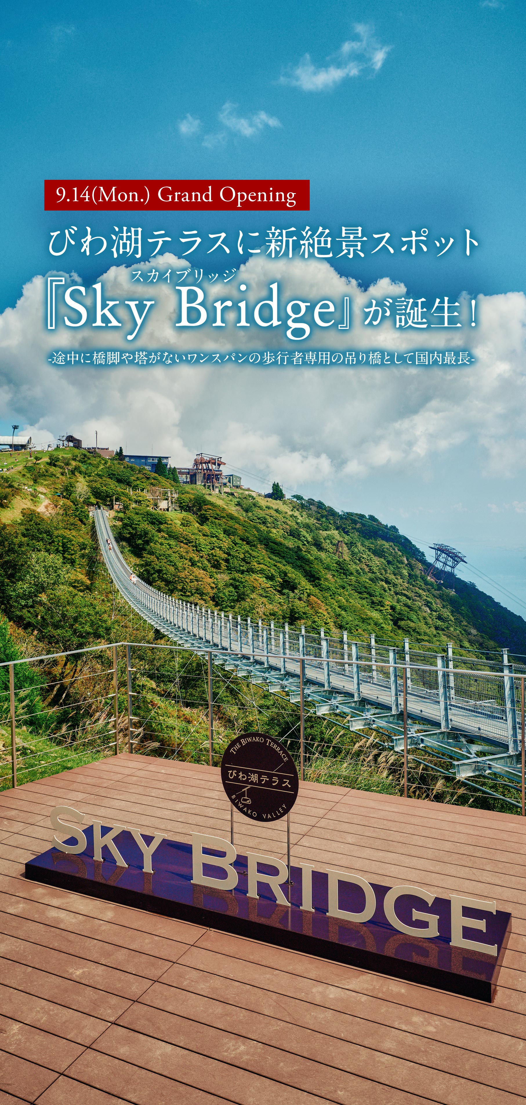 スカイブリッジ